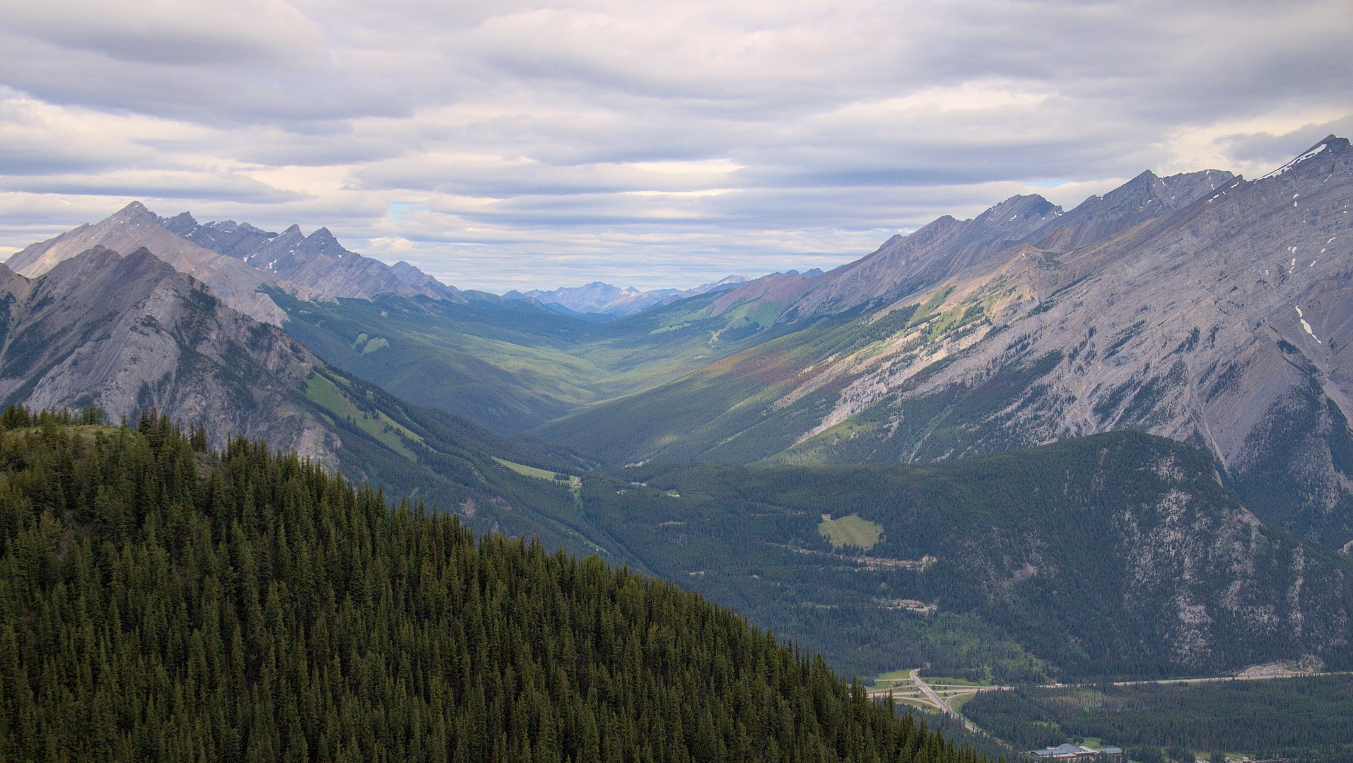 Cyanic Automation Online Services